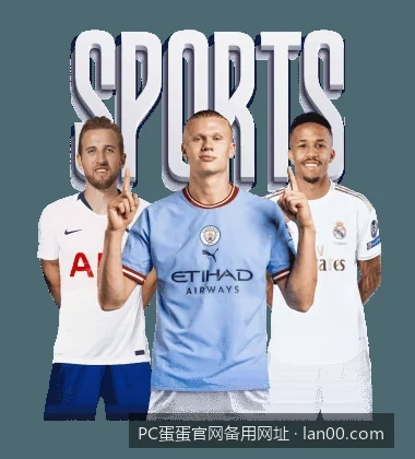 2026最新PC蛋蛋注册登录常见问题解答与故障排查
